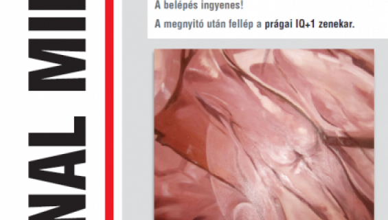 meghivo_2.png