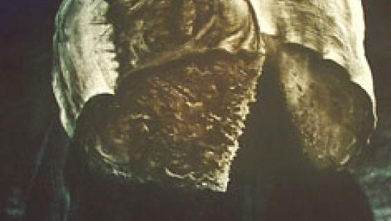 keri_imre_k.zs_._sziberiai_hadifogoly_alma_a_kenyerrol.jpg