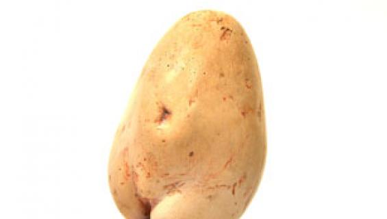 turcsany_villo_birsno_ii..jpg